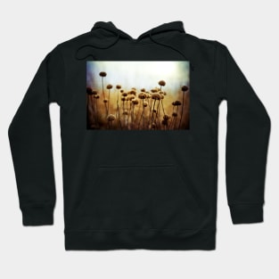 Where the Night Runs Into the Day Hoodie